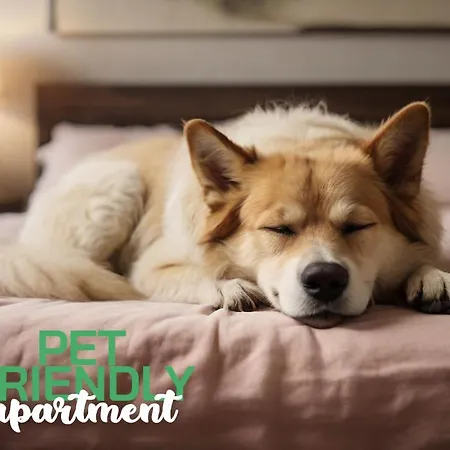 Center Vicolo With Parking