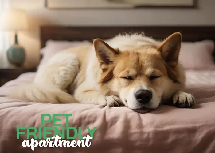 Center Vicolo With Parking